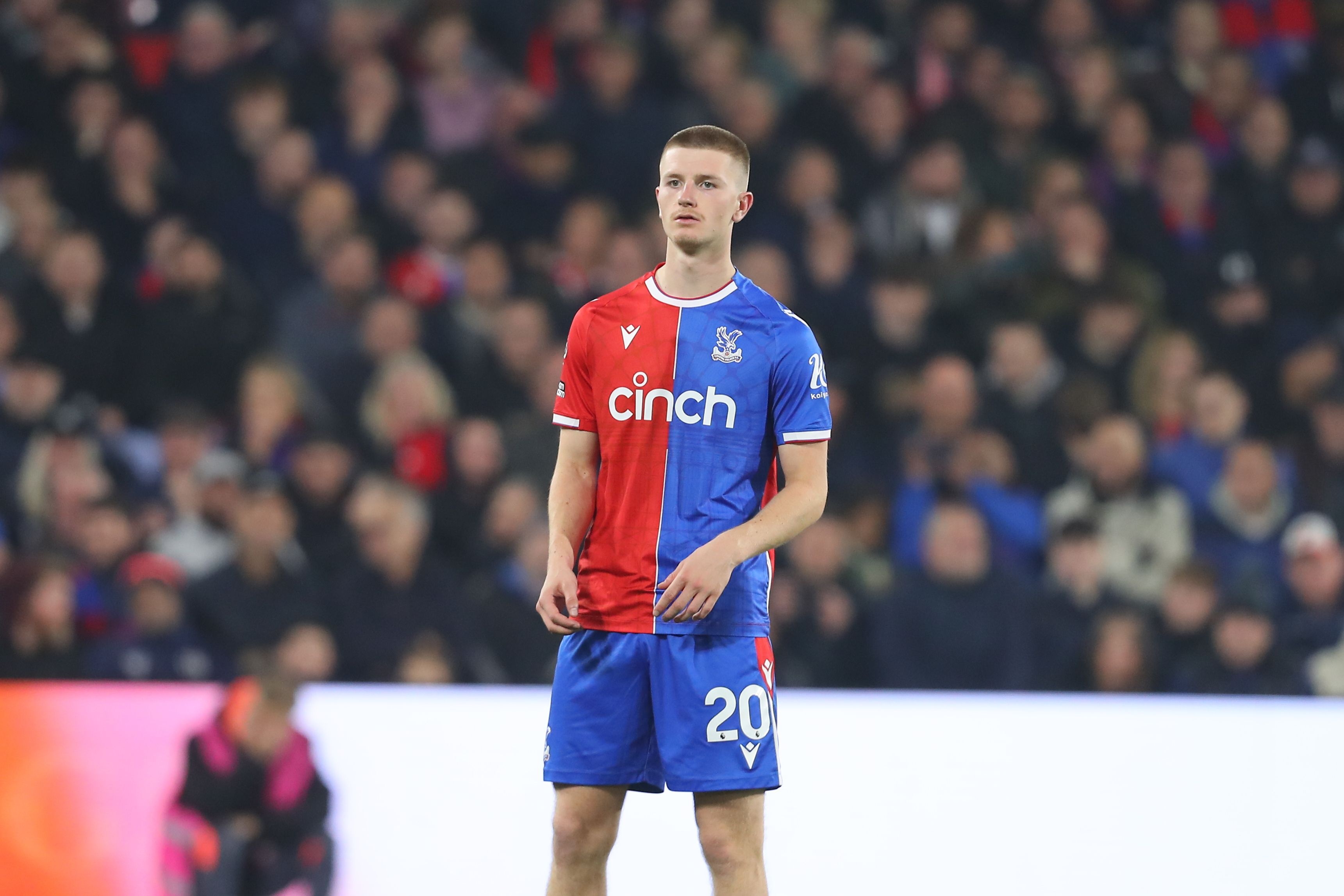 在多家顶级, 据TEAM, entit 在多家顶级, 据TEAM, entit