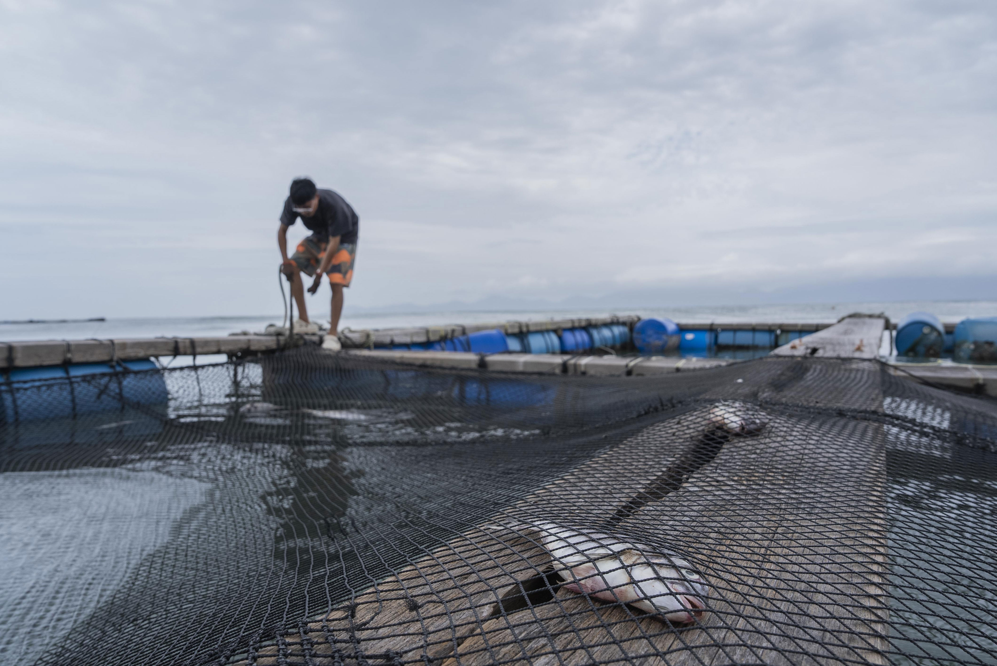 最大的渔港 最大的渔港