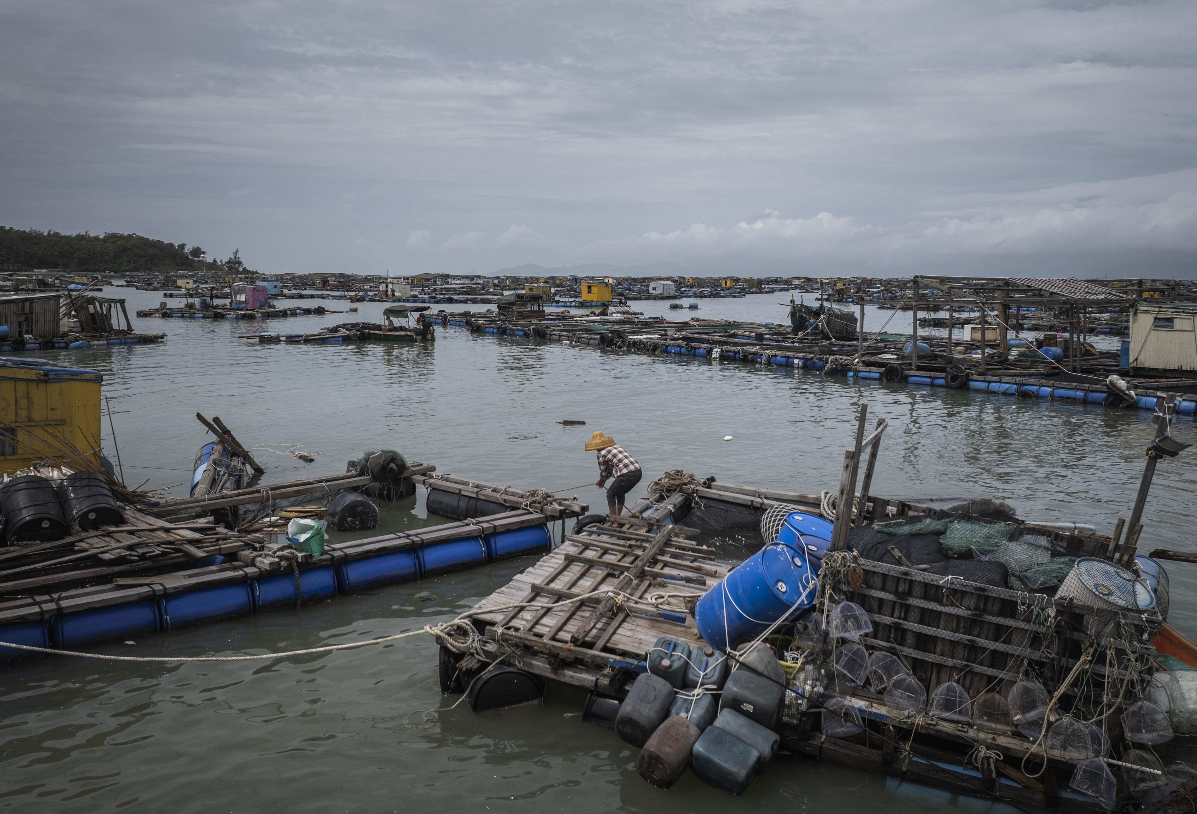 艘渔船, img, 台风过境前 艘渔船, img, 台风过境前