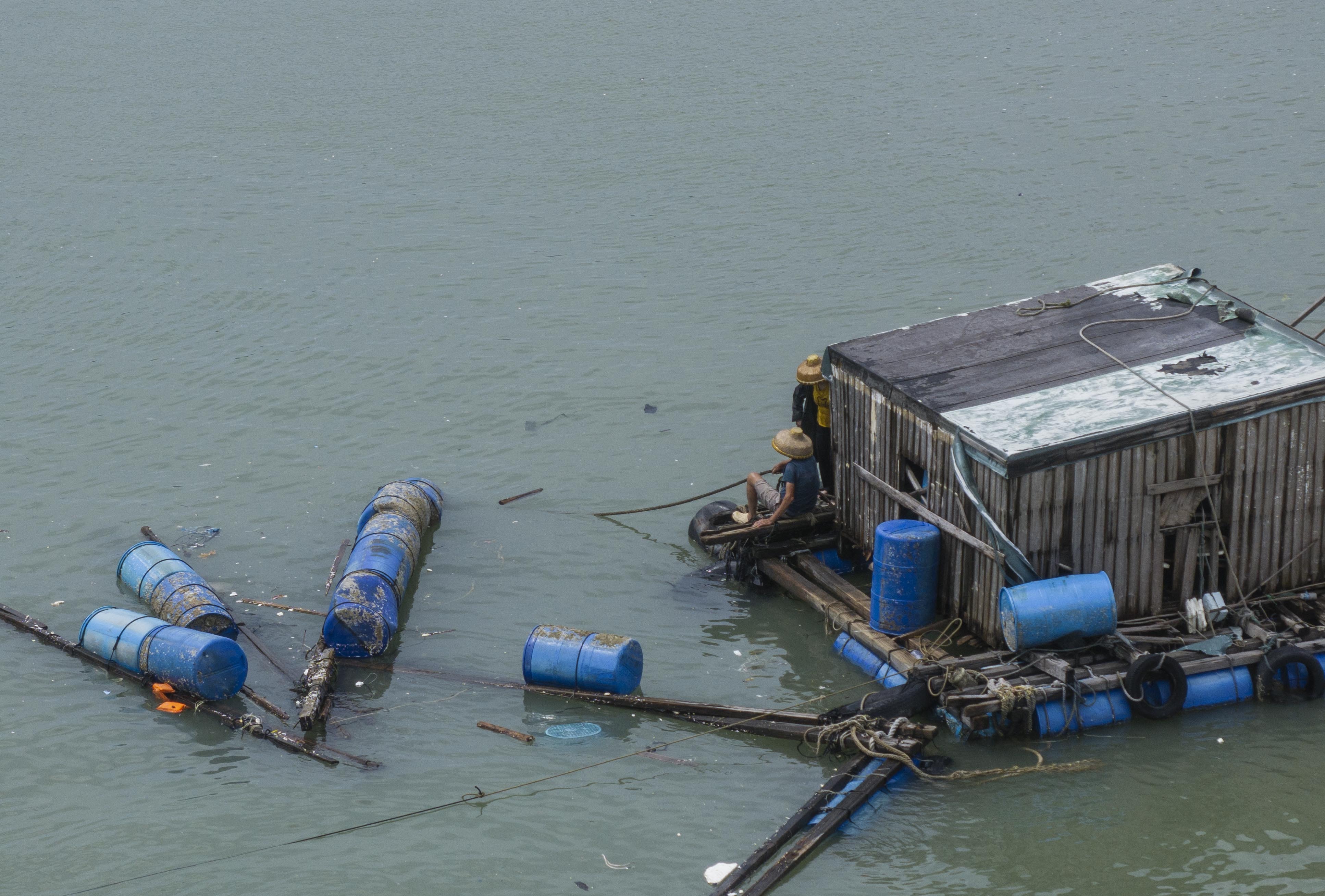 万稳龙, Zr, 修补网箱 万稳龙, Zr, 修补网箱